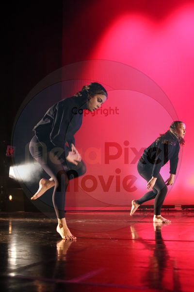 Dorothy Stringer Show - Image 5338