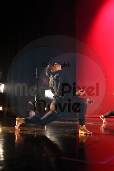 Dorothy Stringer Show - Image 5343