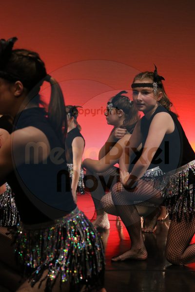Dorothy Stringer Show - Image 0007