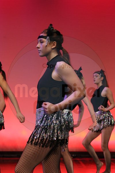 Dorothy Stringer Show - Image 9947