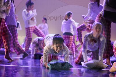 Dorothy Stringer Show - Image 4025