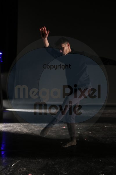 Dorothy Stringer Show - Image 4131
