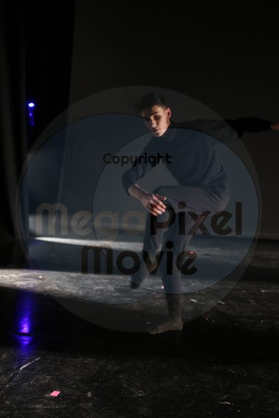 Dorothy Stringer Show - Image 4132