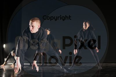Dorothy Stringer Show - Image 4163