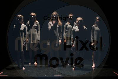 Dorothy Stringer Show - Image 5365