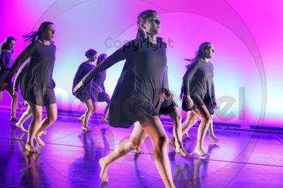 Dorothy Stringer Show - Image 5470