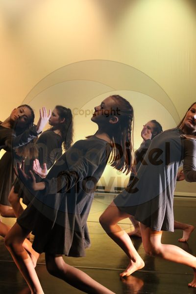 Dorothy Stringer Show - Image 5581