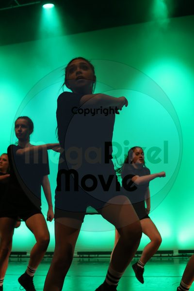 Dorothy Stringer Show - Image 6076