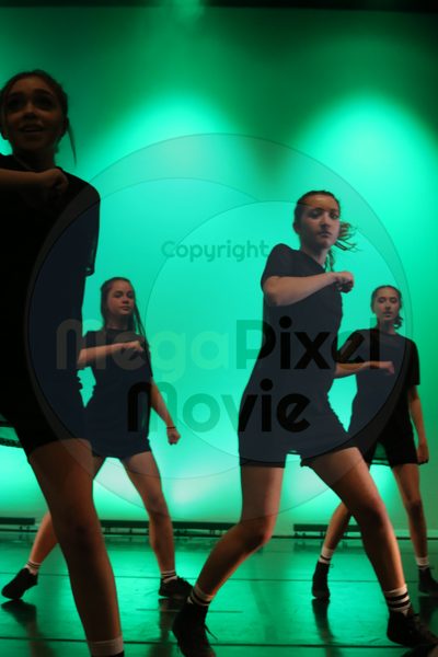 Dorothy Stringer Show - Image 6077