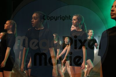 Dorothy Stringer Show - Image 6146