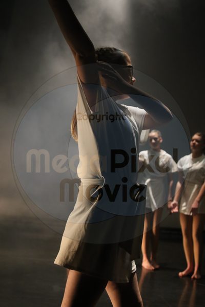 Dorothy Stringer Show - Image 0591