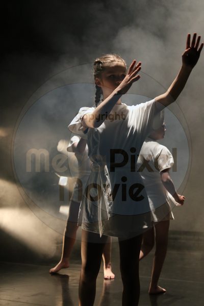 Dorothy Stringer Show - Image 0600
