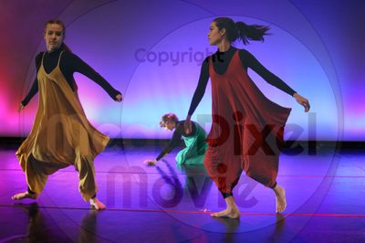 Dorothy Stringer Show - Image 0962