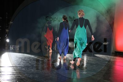 Dorothy Stringer Show - Image 0985