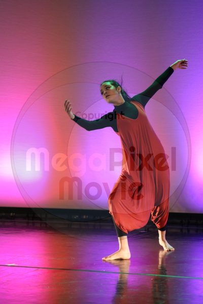 Dorothy Stringer Show - Image 1036