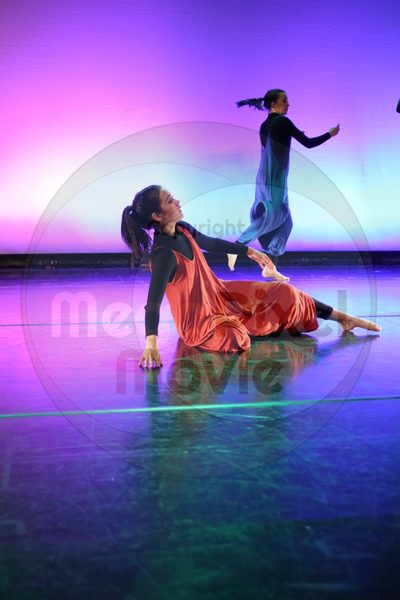 Dorothy Stringer Show - Image 1052
