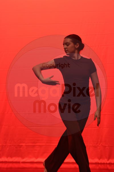 Dorothy Stringer Show - Image 1_696A4394