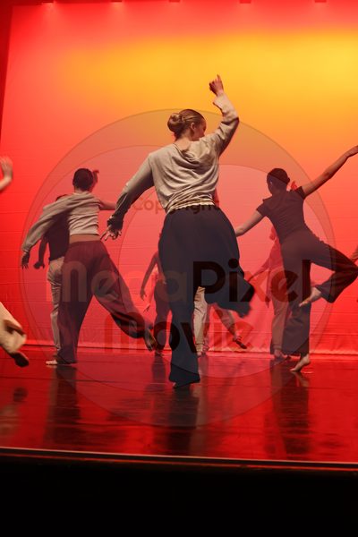 Dorothy Stringer Show - Image 1_696A4582