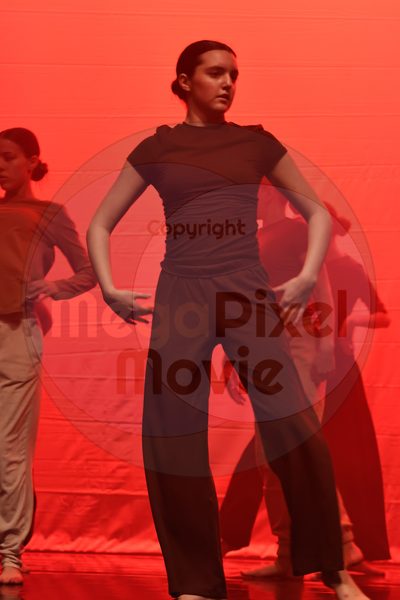 Dorothy Stringer Show - Image 1_696A4636
