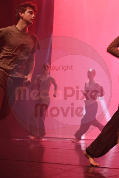 Dorothy Stringer Show - Image 1_696A4720