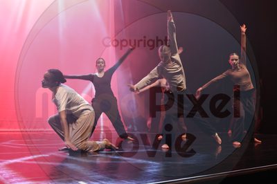 Dorothy Stringer Show - Image 1_696A4818