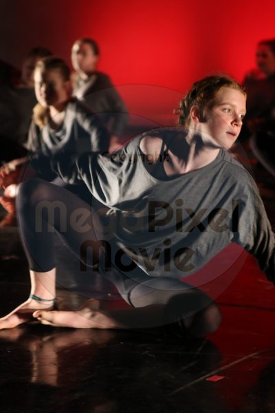 Dorothy Stringer Show - Image 4546