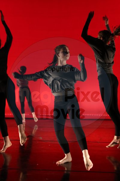 Dorothy Stringer Show - Image 4555