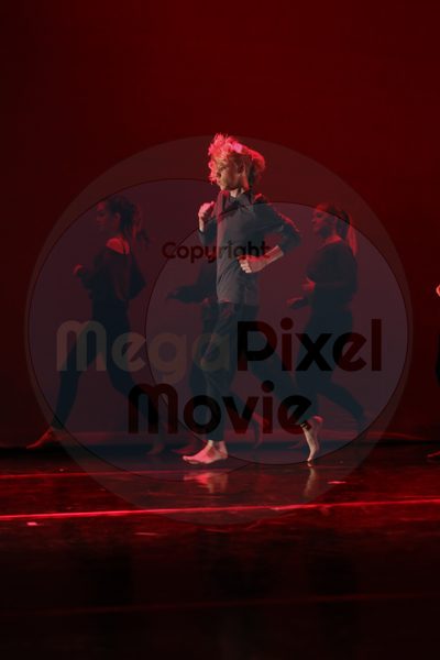 Dorothy Stringer Show - Image 4737