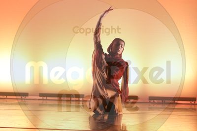 Dorothy Stringer Show - Image 6523