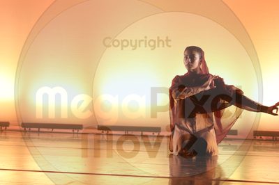 Dorothy Stringer Show - Image 6527