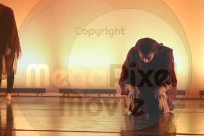 Dorothy Stringer Show - Image 6530