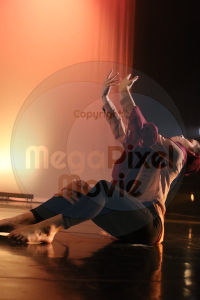 Dorothy Stringer Show - Image 6556