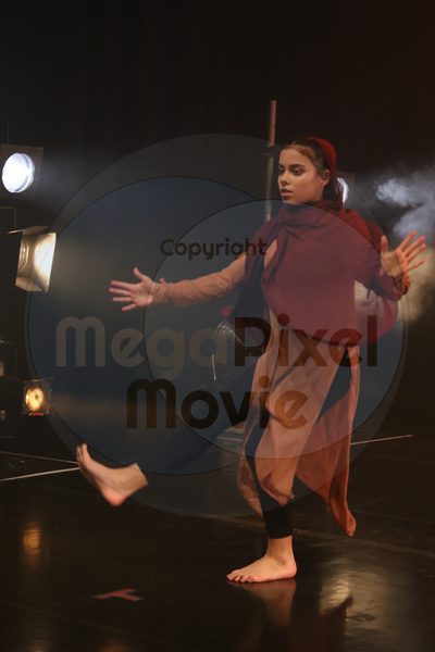 Dorothy Stringer Show - Image 6645