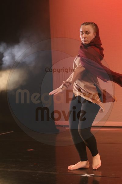 Dorothy Stringer Show - Image 6654