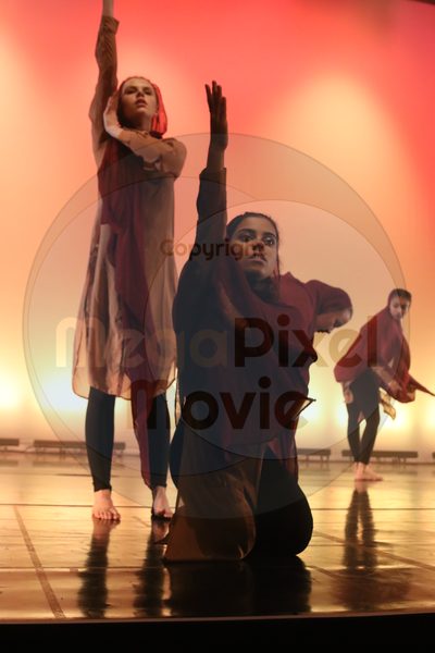 Dorothy Stringer Show - Image 6738