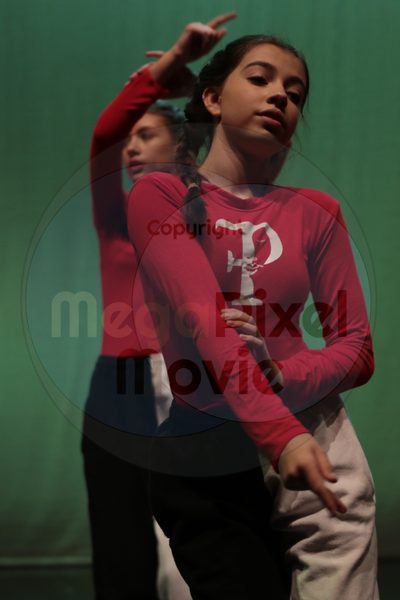 Dorothy Stringer Show - Image 5288