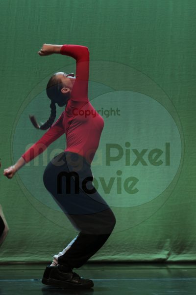 Dorothy Stringer Show - Image 5478