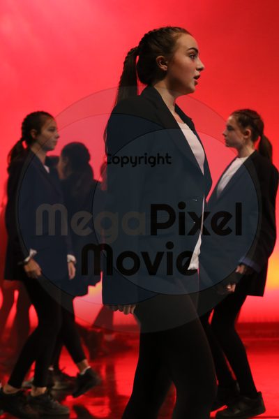 Dorothy Stringer Show - Image 1487