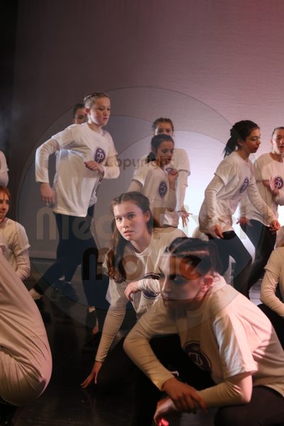 Dorothy Stringer Show - Image 7356