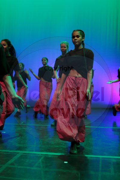 Dorothy Stringer Show - Image 64851