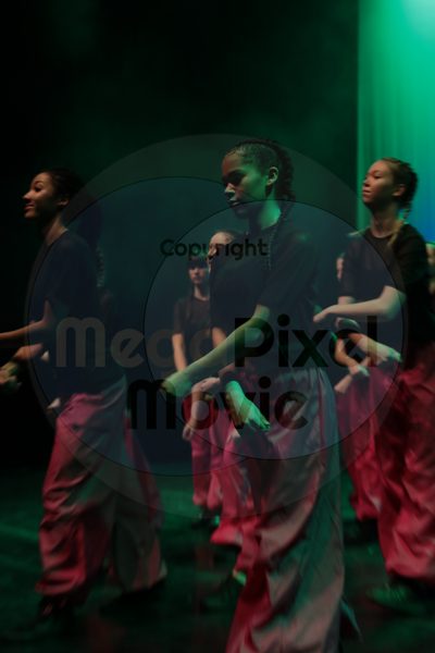 Dorothy Stringer Show - Image 6549