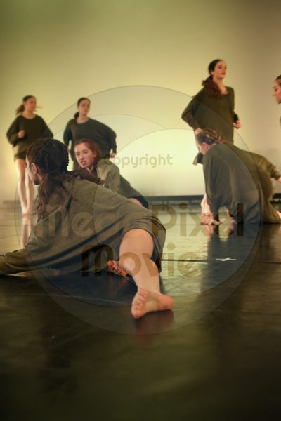 Dorothy Stringer Show - Image 2177
