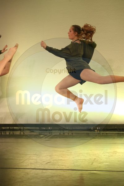 Dorothy Stringer Show - Image 2200