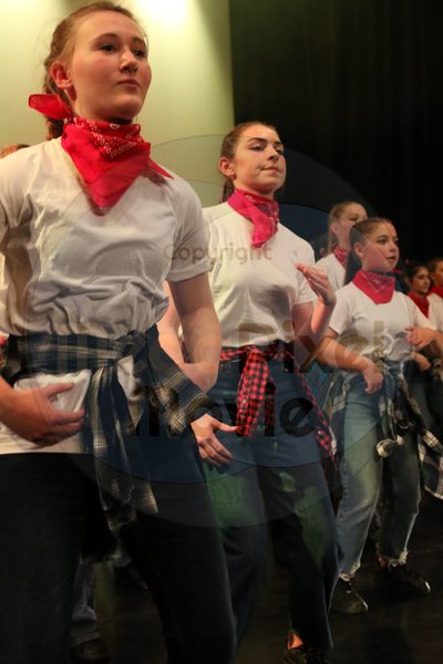 Dorothy Stringer Show - Image 2328