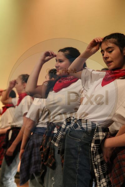 Dorothy Stringer Show - Image 2361