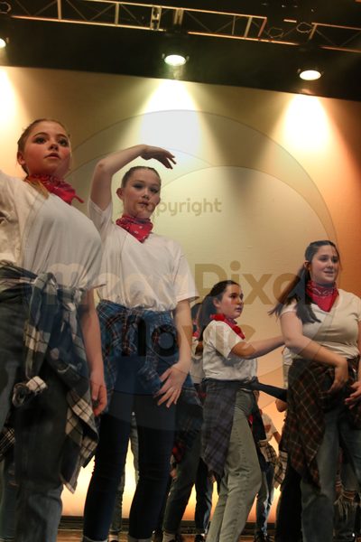 Dorothy Stringer Show - Image 2379