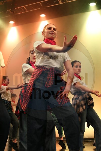 Dorothy Stringer Show - Image 2388