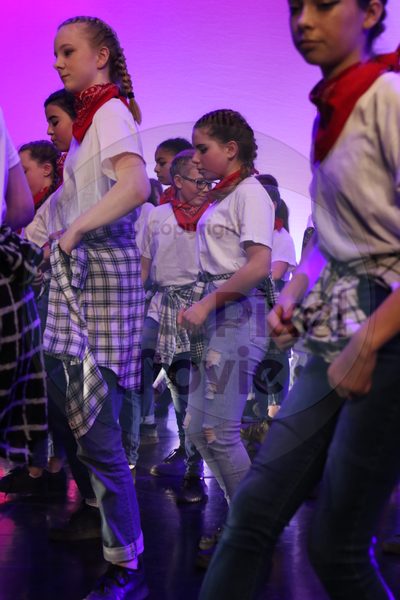 Dorothy Stringer Show - Image 9694