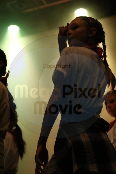 Dorothy Stringer Show - Image 9806