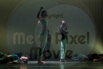 Dorothy Stringer Show - Image 6590